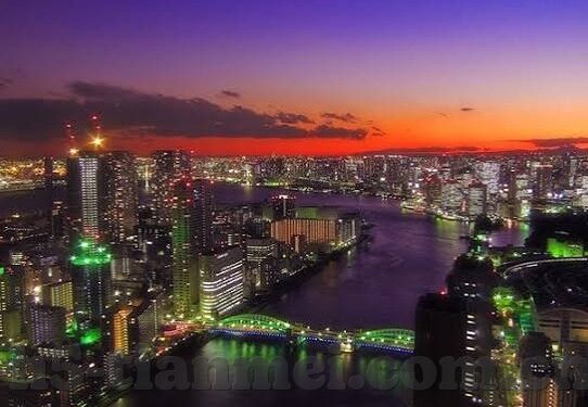 91麻豆天美星空蜜桃传媒-探索数字媒体平台的多元化与影响，91麻豆天美星空蜜桃传媒案例研究