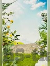 麻豆苹果app-探究麻豆苹果APP的多元应用与社交新体验