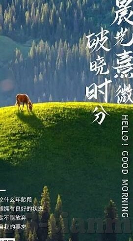 人妻交换日记-探索人妻交换日记，一场情感与伦理的微妙交织