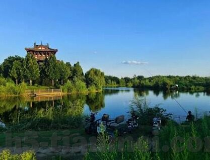 糖心app下载汅ios免费-尽享娱乐，轻松下载——糖心App的精彩世界