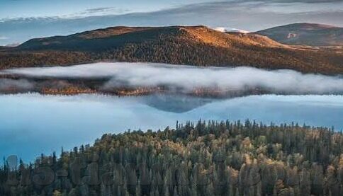 糖心vlog安安老师视频-糖心世界里的温暖时光，安安老师Vlog的点滴心语
